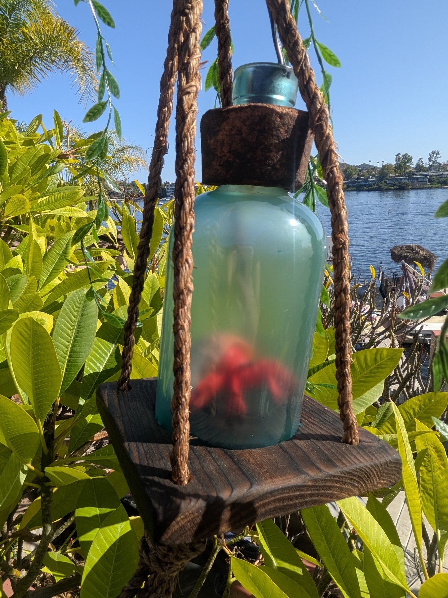 Creature Feature Hermit Crab Beachcomber Lamp