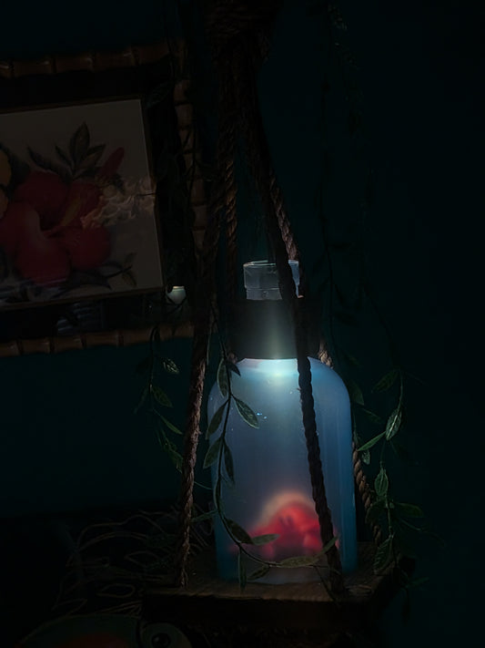 Creature Feature Hermit Crab Beachcomber Lamp